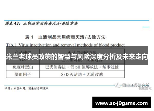 米兰老球员政策的智慧与风险深度分析及未来走向