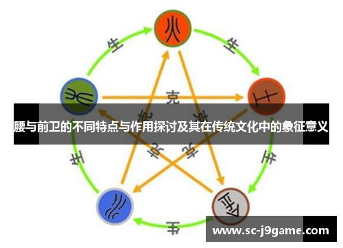 腰与前卫的不同特点与作用探讨及其在传统文化中的象征意义