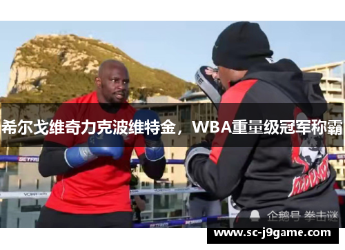 希尔戈维奇力克波维特金，WBA重量级冠军称霸