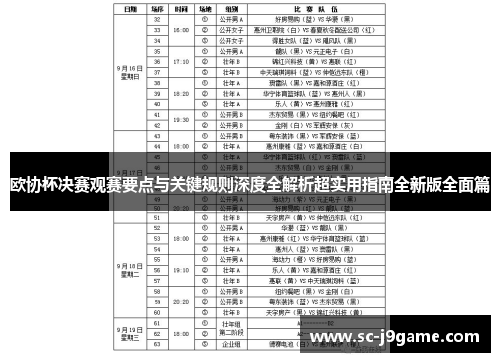 欧协杯决赛观赛要点与关键规则深度全解析超实用指南全新版全面篇